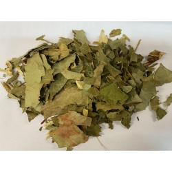 Rdestowiec Japoński Ziele 500 G